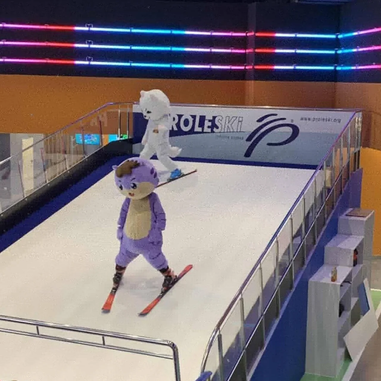 A skier practising on a PROLESKI endless slope